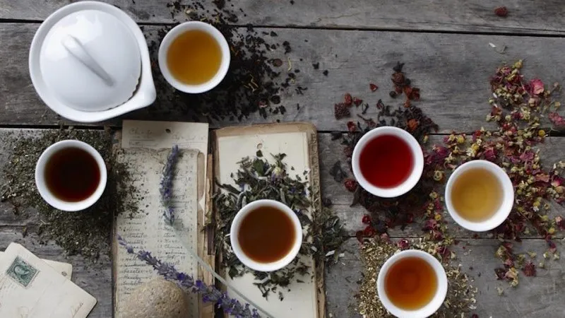 Nghiên cứu về trà Earl Grey: xuất xứ, cách sử dụng và bảo quản trà Earl Grey.