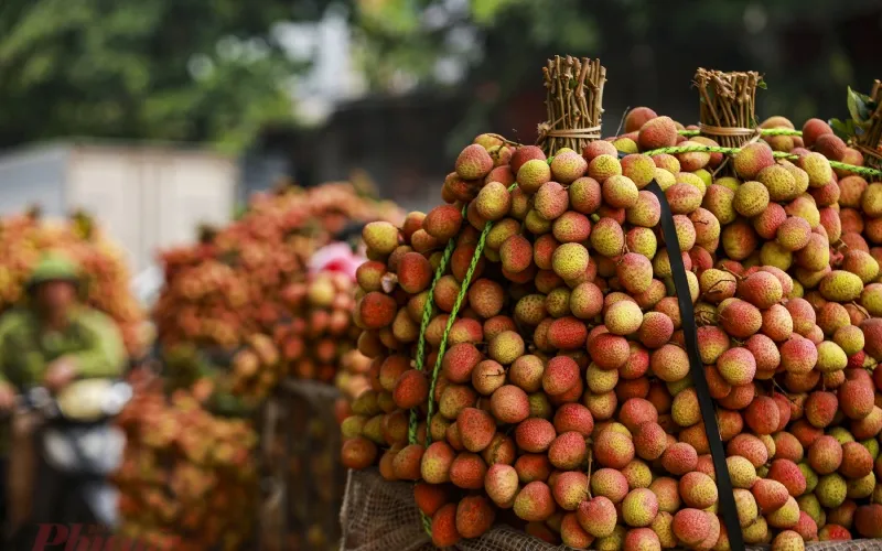 Tác dụng của vải thiều ngâm rượu và cách làm nó