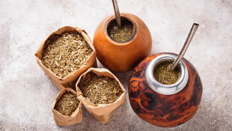 Yerba Mate là gì? 8 công dụng của Yerba Mate đối với sức khỏe