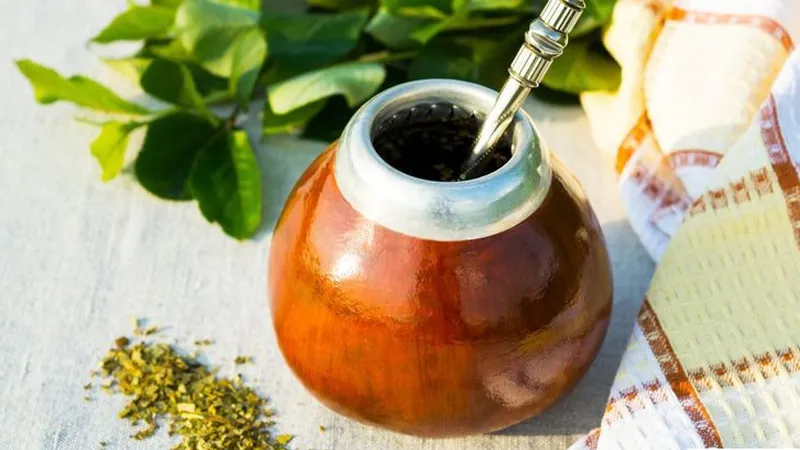 Yerba Mate là gì? 8 công dụng của Yerba Mate đối với sức khỏe