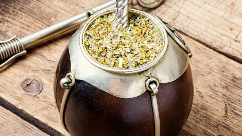 Yerba Mate là gì? 8 công dụng của Yerba Mate đối với sức khỏe